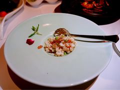 -西郊5号·Maggie 5