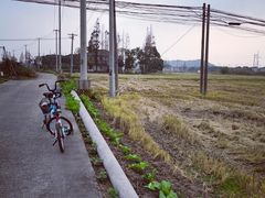 -上海佘山国家森林公园天马山园