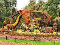 -上海共青森林公园