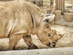 -西安秦岭野生动物园