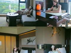 -成都保利公园皇冠假日酒店(熊猫基地店)