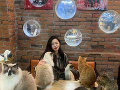 -豆逗聊愈猫阁Easy Life