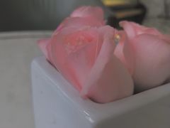 -唐阁海景中餐厅·早茶·粤菜•生日聚餐(海口朗廷酒店)