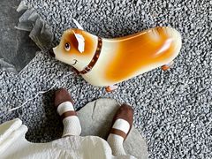 -J Create城市露营咖啡·简餐·宠物(上海动物园店)