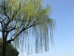 -西湖天地