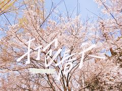 -东湖磨山景区