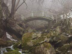 -西安祥峪森林公园