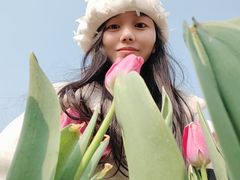 -秀丽东方