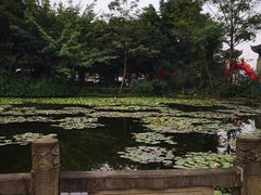 -巴山一绝烤全羊(三圣乡刘家花园店)