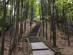 -火炉山森林公园
