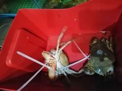 -三妹小龙虾·黄油蟹(华侨城总店)
