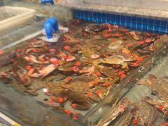 -一方渔歌蒸汽海鲜自助(文化路万达广场店)