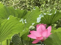 -莲池书院博物馆