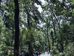 -岳麓山风景名胜区