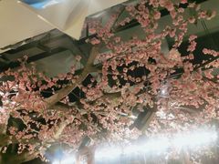 -风波庄(罍街分舵)