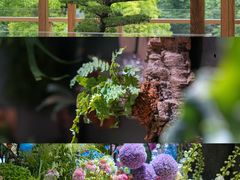 -瑞虹新天地月亮湾
