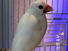 -悦融·京鲁菜·露台花园(安定门店)