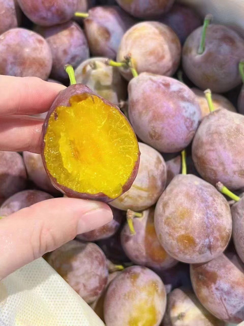 西梅 #新鲜应季水果