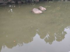 -中山市树木园