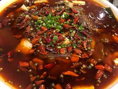 -庆合府重庆大排档(紫都城店)