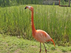 -沈阳鸟岛
