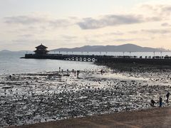 -栈桥景区