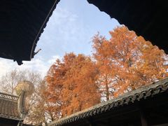 -西溪国家湿地公园