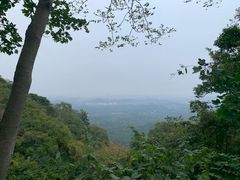 -紫金山山顶公园