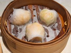 -点都德·毕德寮