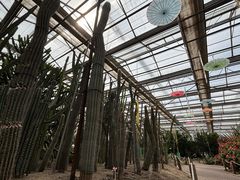 -长春农业博览园