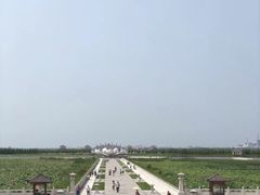 -呼兰河口湿地公园
