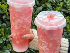 -CoCo都可(包河万达店)