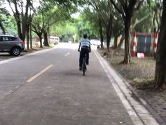 -大屏嶂森林公园