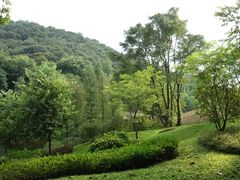 景点-云溪植物园