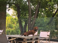 -J Create城市露营咖啡·简餐·宠物(上海动物园店)