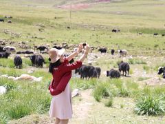 -青海湖国家重点风景名胜区