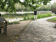 景点-望湖公园