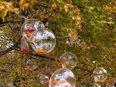 -福州大学(旗山校区)