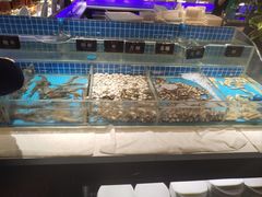 -加餐海鲜自助(集美银泰百货店)
