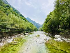 -沣峪森林公园龙潭戏水景区