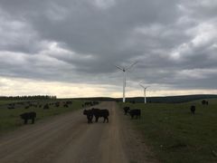 塞罕坝国家森林公园-塞罕坝国家级自然保护区