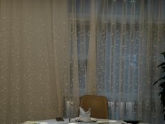 -新加坡泰园村酒楼直营(新华路店)
