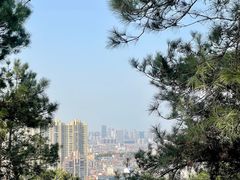 -青龙山国家森林公园