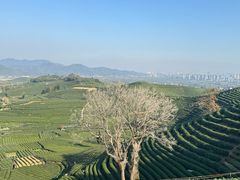 -听风阁农家私房菜茶楼(龙坞店)