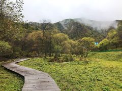 -大水川景区