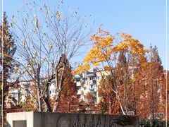 -浙江农林大学(东湖校区)