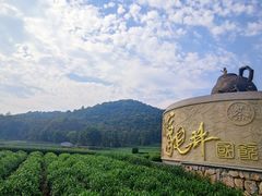 -听风阁农家私房菜茶楼(龙坞店)