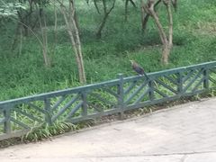 -玲珑塔公园