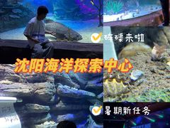 -沈阳海洋探索中心