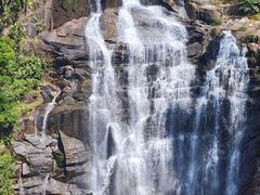 -海南热带雨林国家公园吊罗山景区